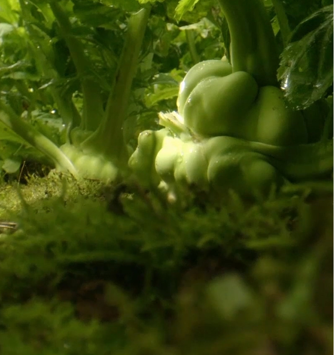 GA黄金甲(中国游)最新官方网站