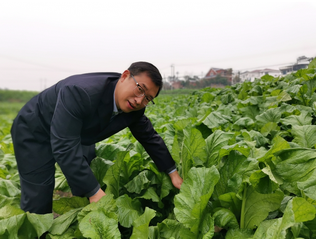 GA黄金甲(中国游)最新官方网站