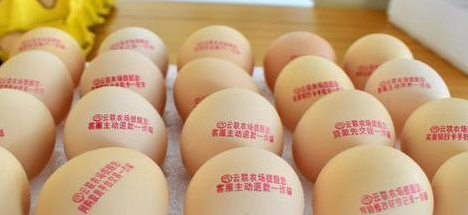 GA黄金甲(中国游)最新官方网站