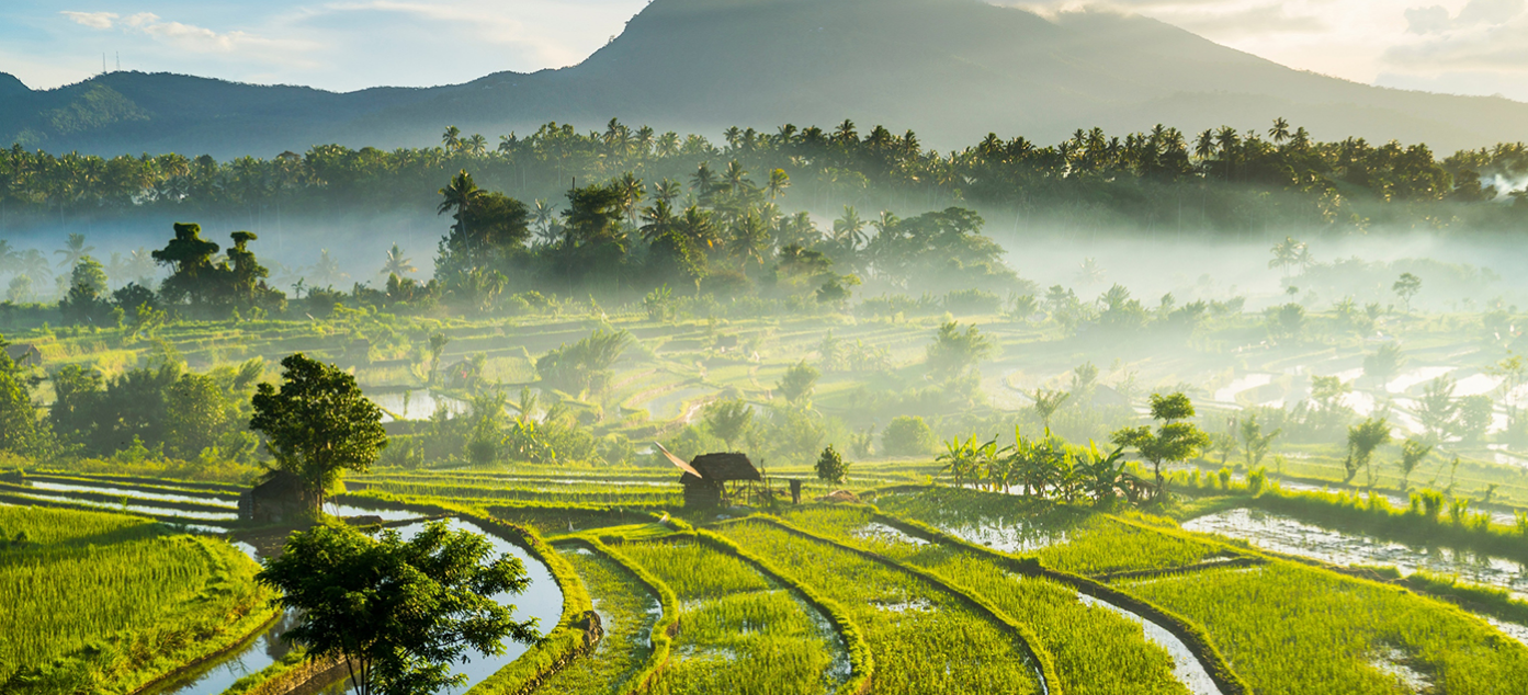 GA黄金甲(中国游)最新官方网站