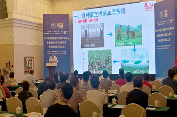 GA黄金甲(中国游)最新官方网站