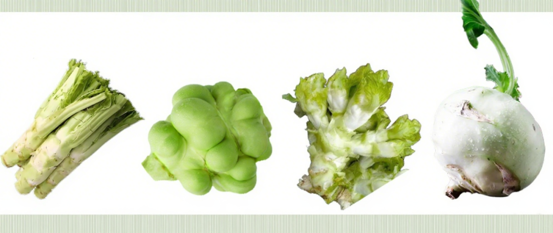 GA黄金甲(中国游)最新官方网站