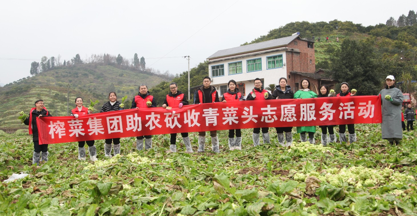 GA黄金甲(中国游)最新官方网站