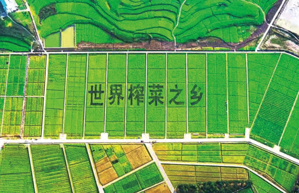 GA黄金甲(中国游)最新官方网站