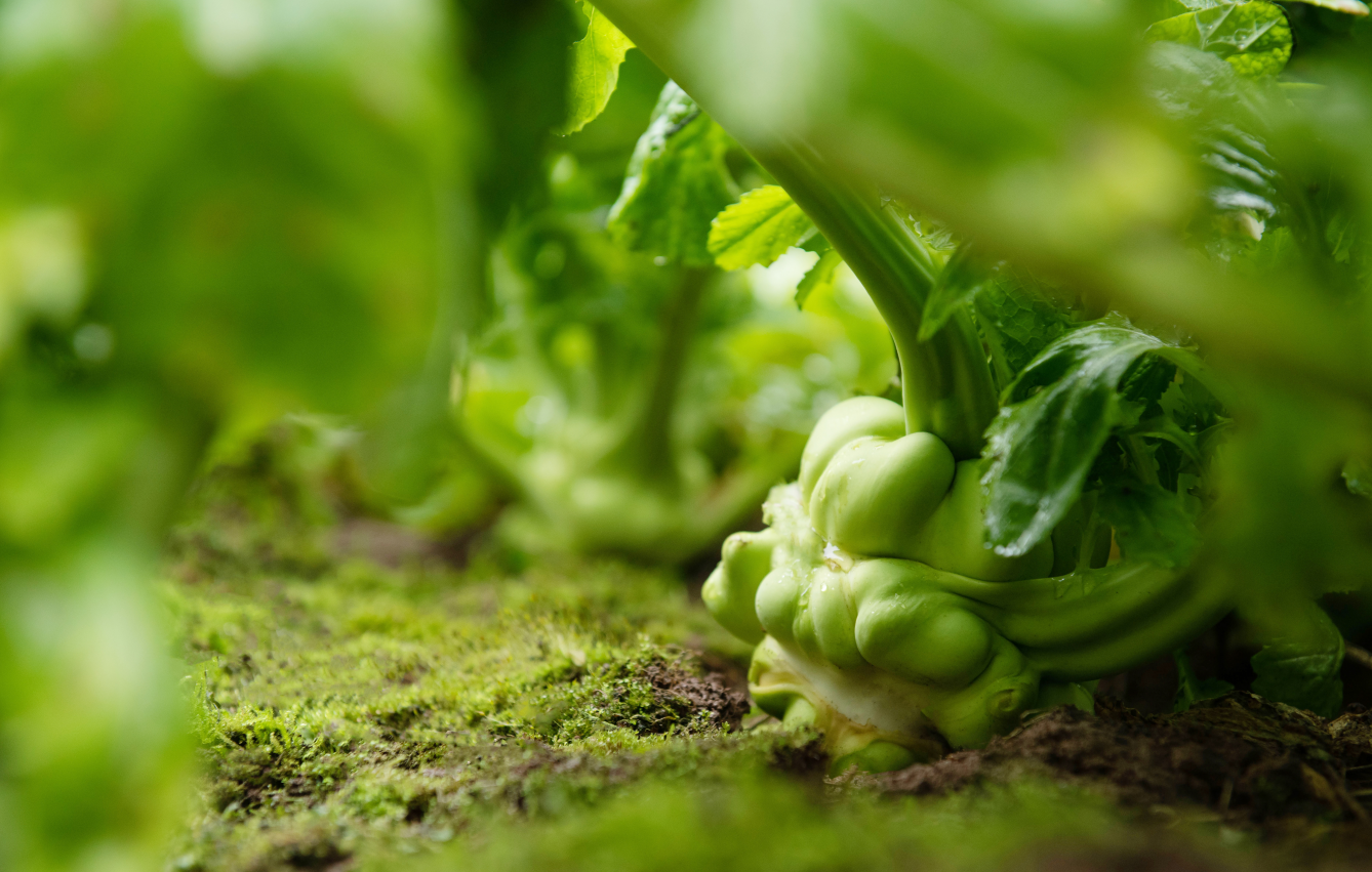 GA黄金甲(中国游)最新官方网站