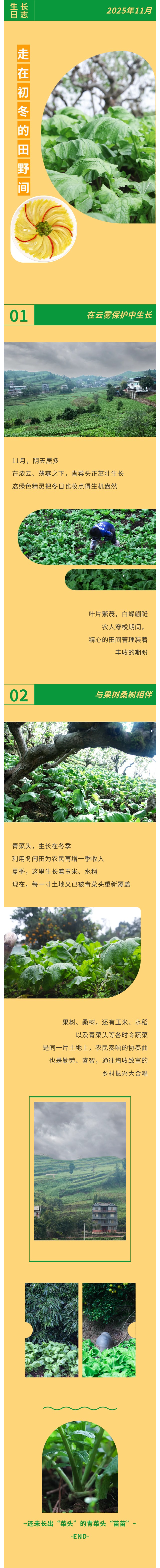 GA黄金甲(中国游)最新官方网站