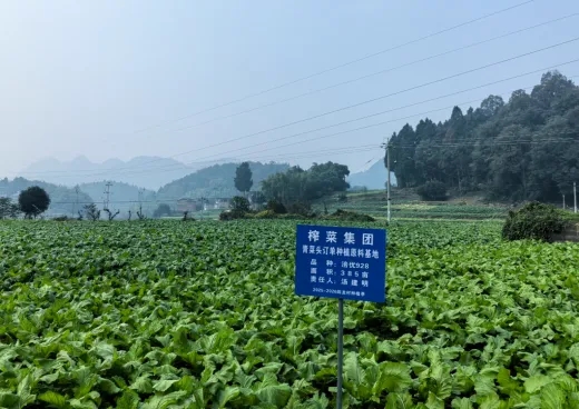 GA黄金甲(中国游)最新官方网站