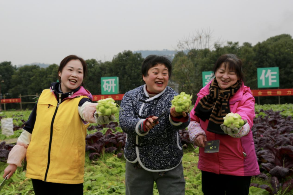 GA黄金甲(中国游)最新官方网站