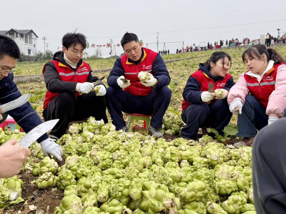 GA黄金甲(中国游)最新官方网站
