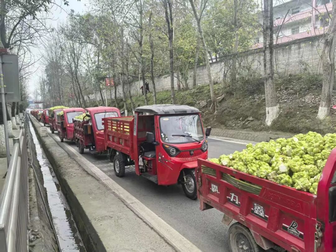 GA黄金甲(中国游)最新官方网站